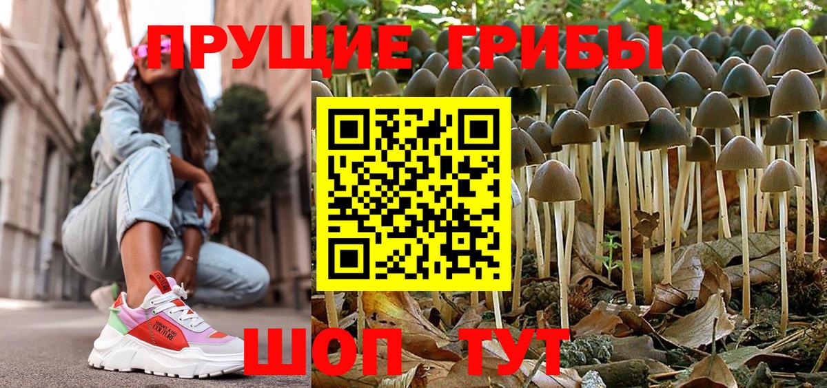 Псилоцибиновые грибы Cubensis  Вход с VPN  Нижнекамск 
